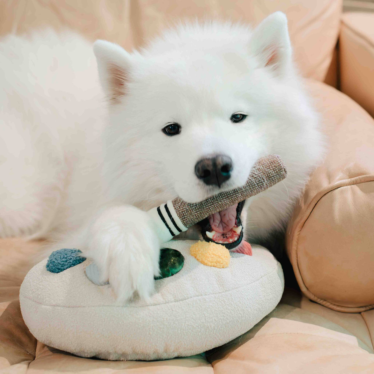 Paint Palette and Brush Enrichment Dog Toy
