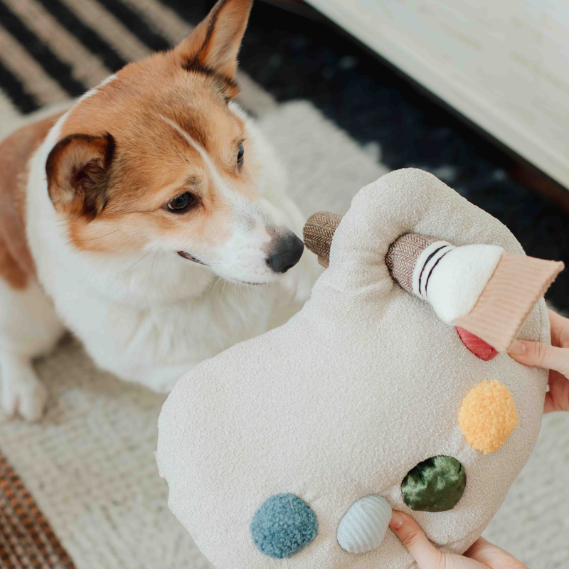 Paint Palette and Brush Enrichment Dog Toy