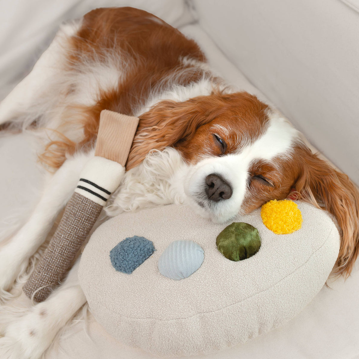 Paint Palette and Brush Enrichment Dog Toy