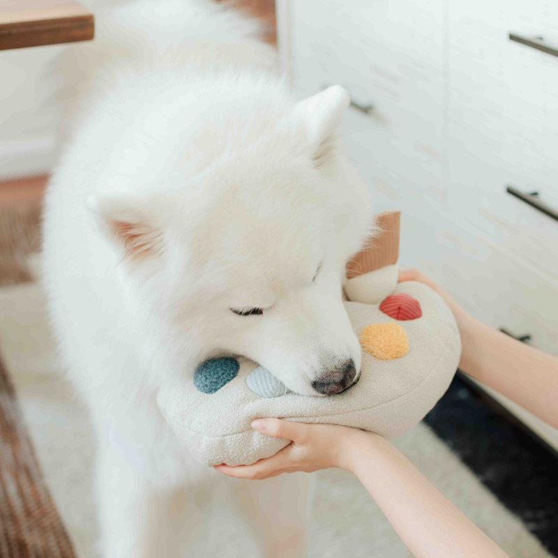 Paint Palette and Brush Enrichment Dog Toy