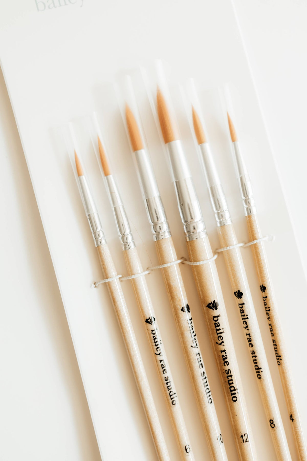 Round Tip Watercolor Brush Set (6 pieces)