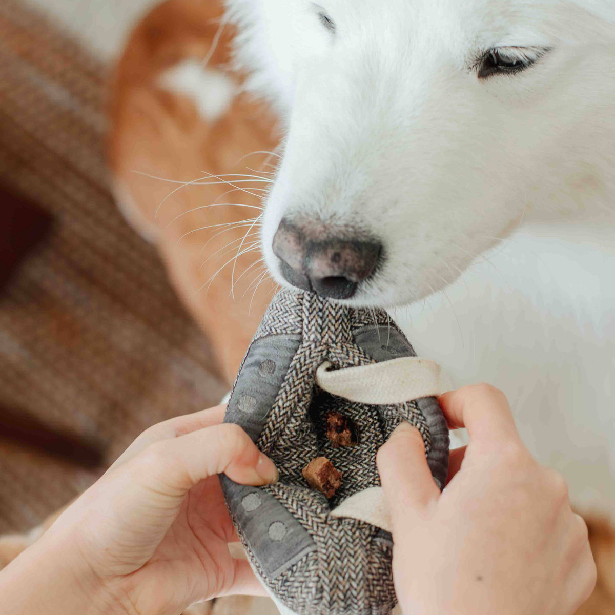 Cassette Tape Enrichment Dog Toy