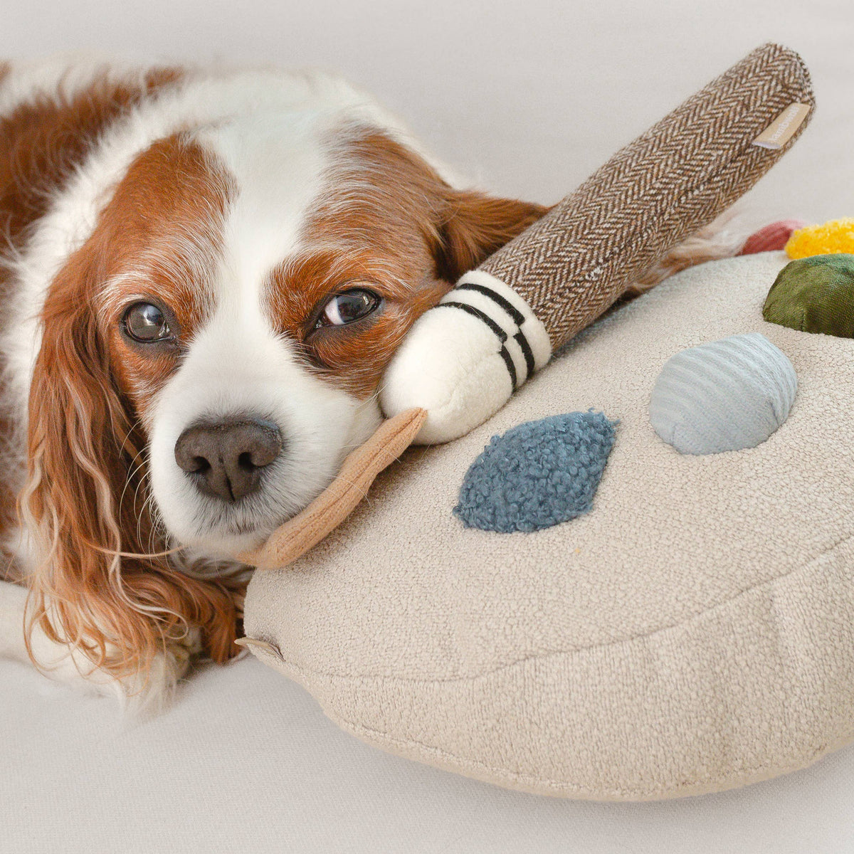 Paint Palette and Brush Enrichment Dog Toy