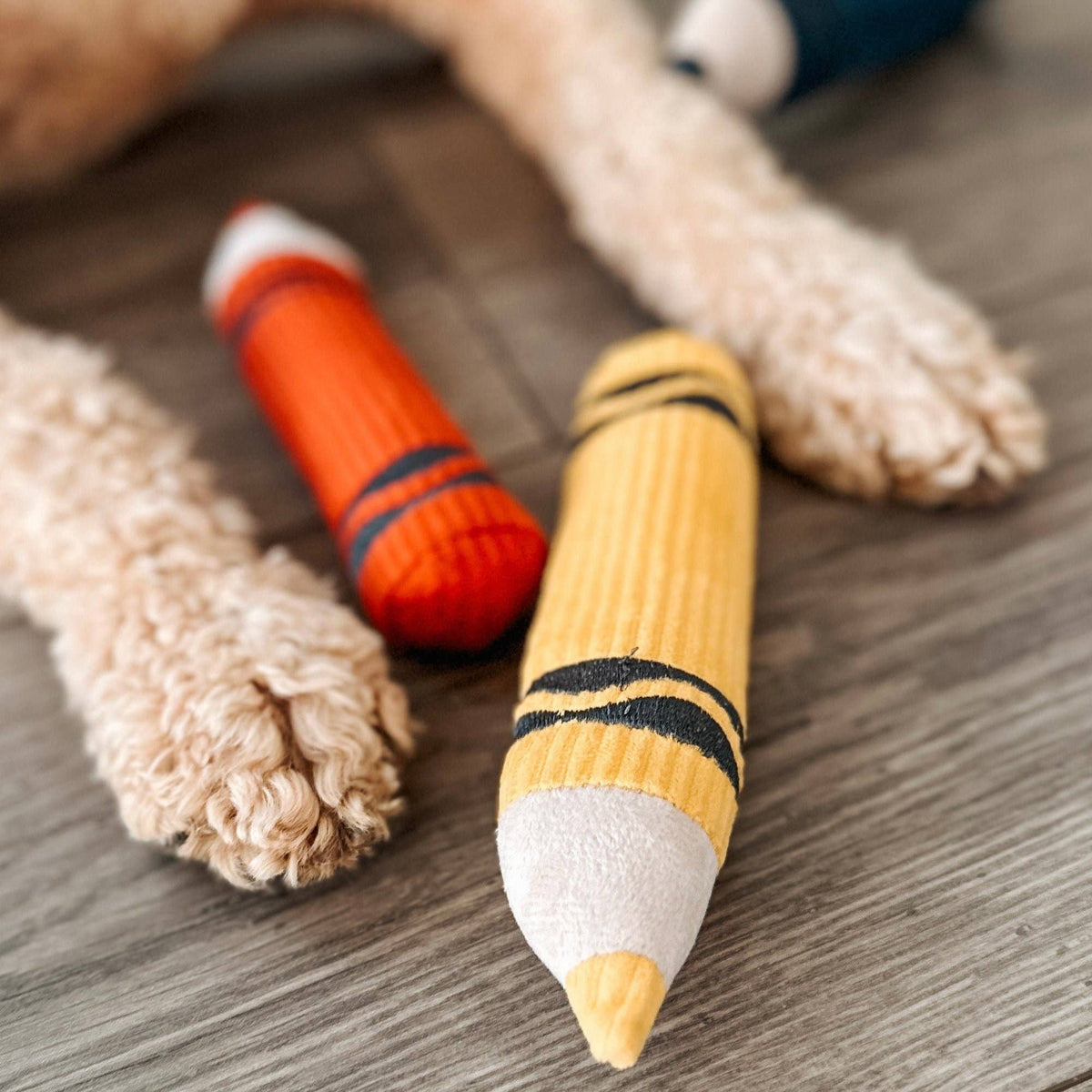 Crayons Enrichment Dog Toy