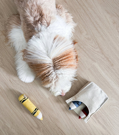Crayons Enrichment Dog Toy
