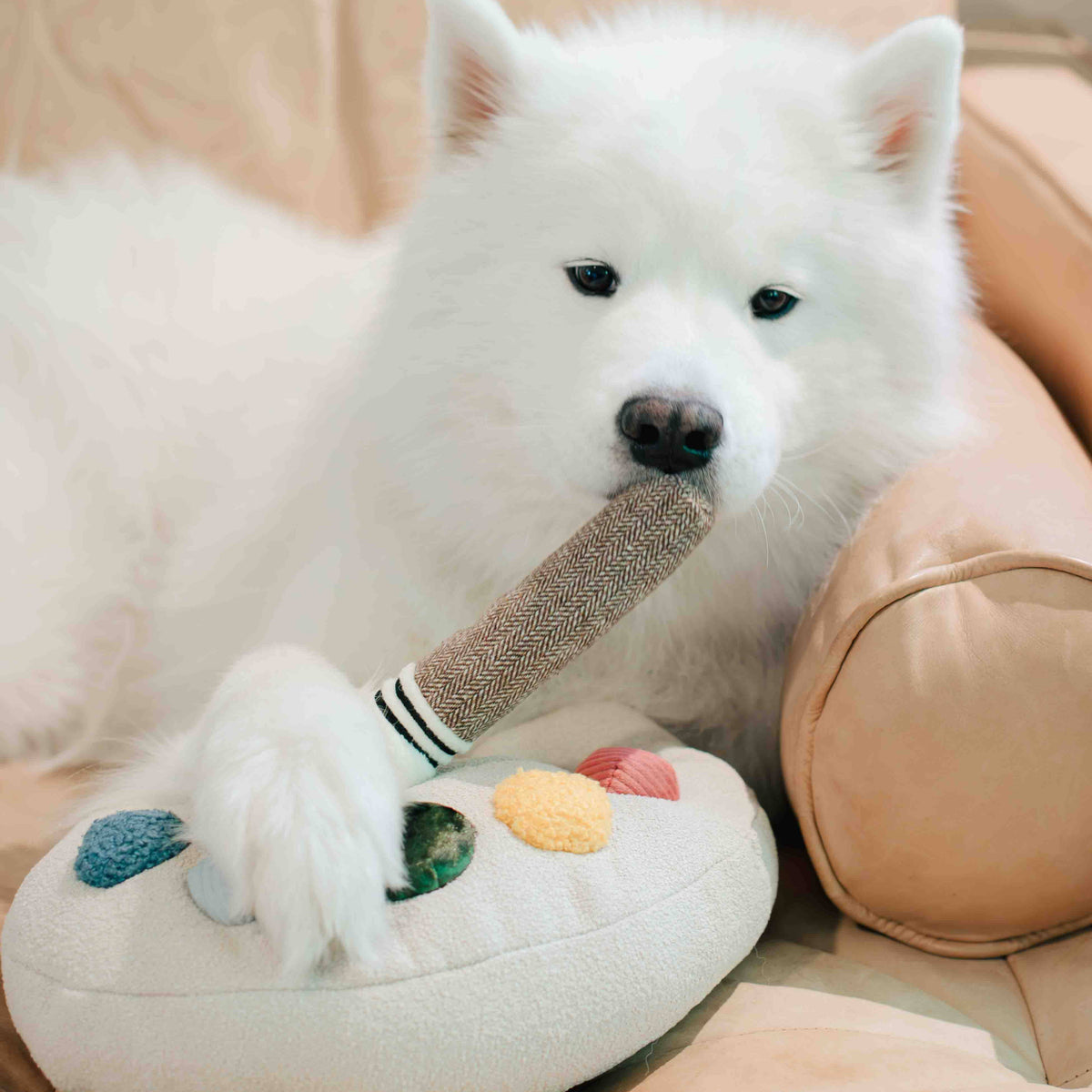 Paint Palette and Brush Enrichment Dog Toy