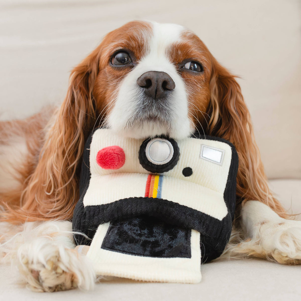 Instant Camera Enrichment Dog Toy