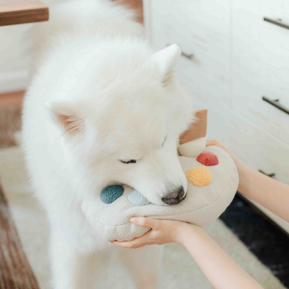 Paint Palette and Brush Enrichment Dog Toy