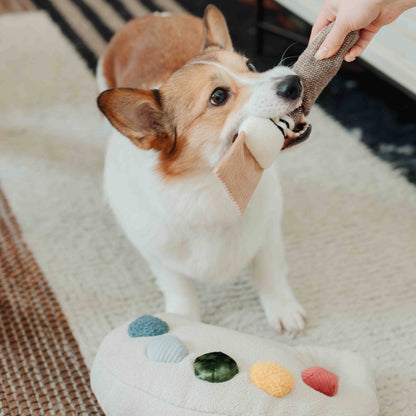 Paint Palette and Brush Enrichment Dog Toy